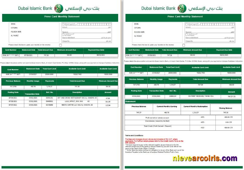 UAE Dubai Islamic Bank statement Word and PDF, 3 pages